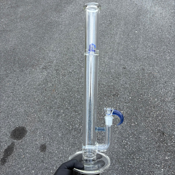 Kenta Kito x Algae Tube