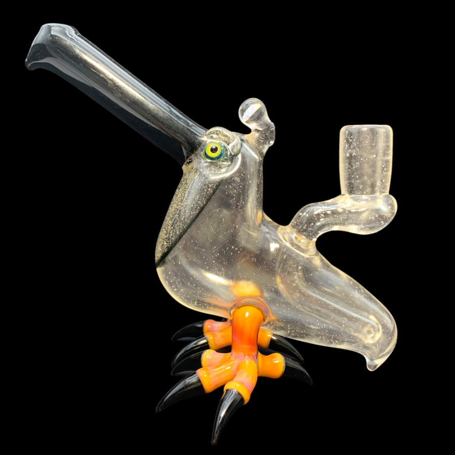 Burtoni UV Toucan