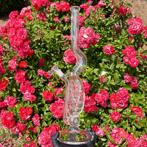Swiss Perc