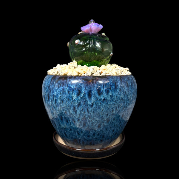 Mork Glass Jar Auction!