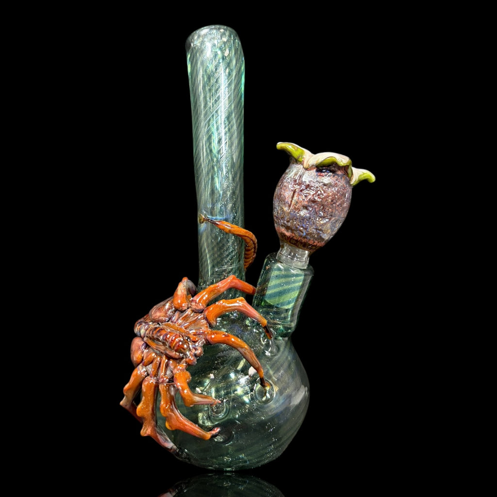 Tammy Baller Face Hugger Tube