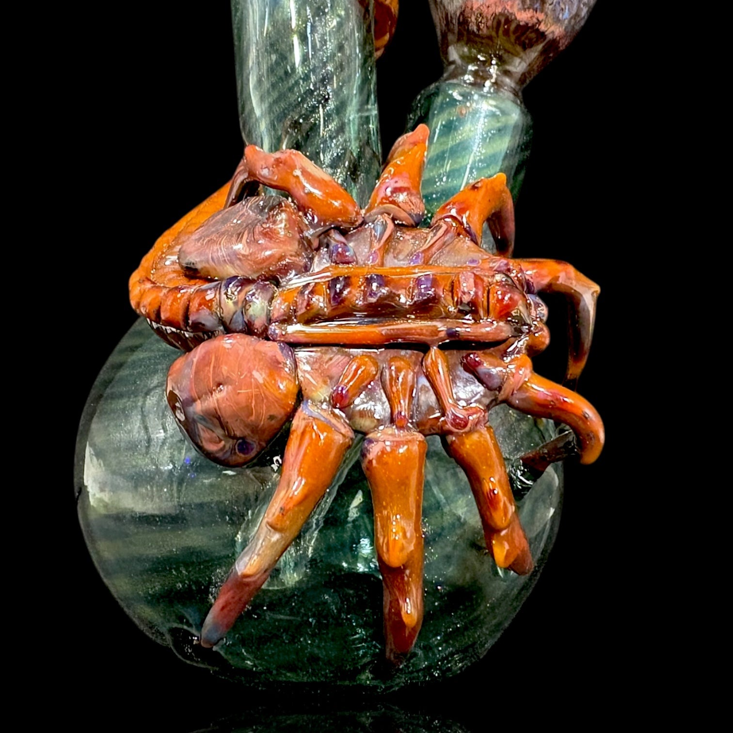 Tammy Baller Face Hugger Tube