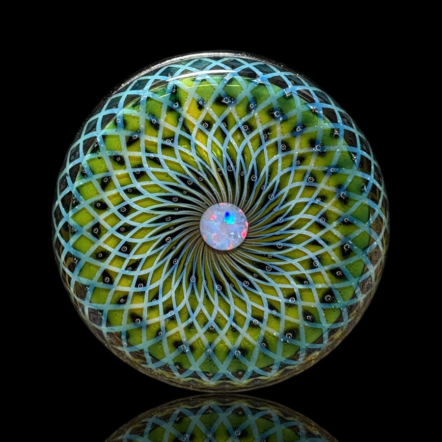 Sizelove x Baller Jar Auction!