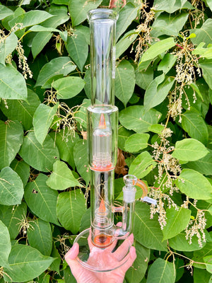 Sovereignty PA Cap 180 to Tree