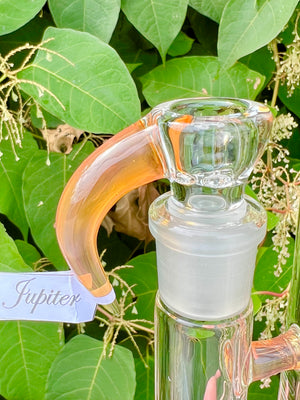 Sovereignty PA Cap 180 to Tree