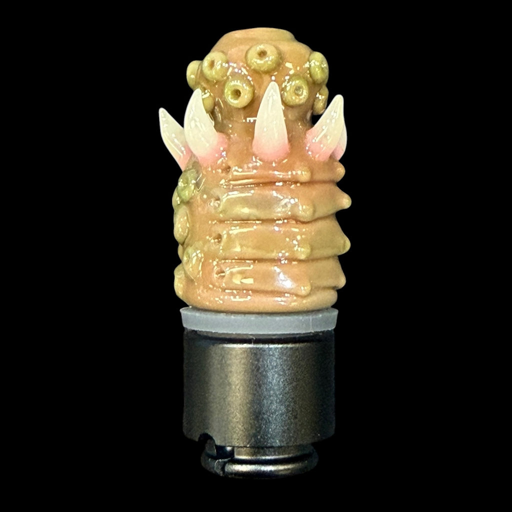 Salt Pivot Top
