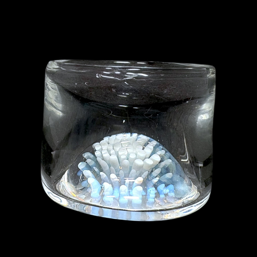 Magizle Jar Auction!