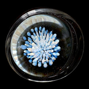 Magizle Jar Auction!