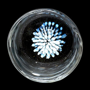Magizle Jar Auction!