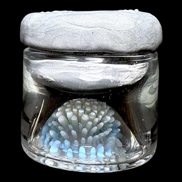Magizle Jar Auction!