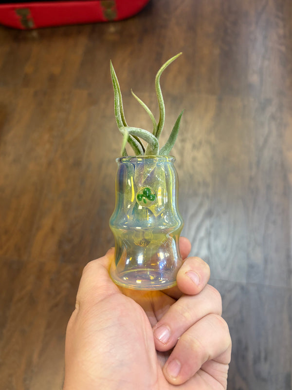 Trinity Glass Jar Auction!