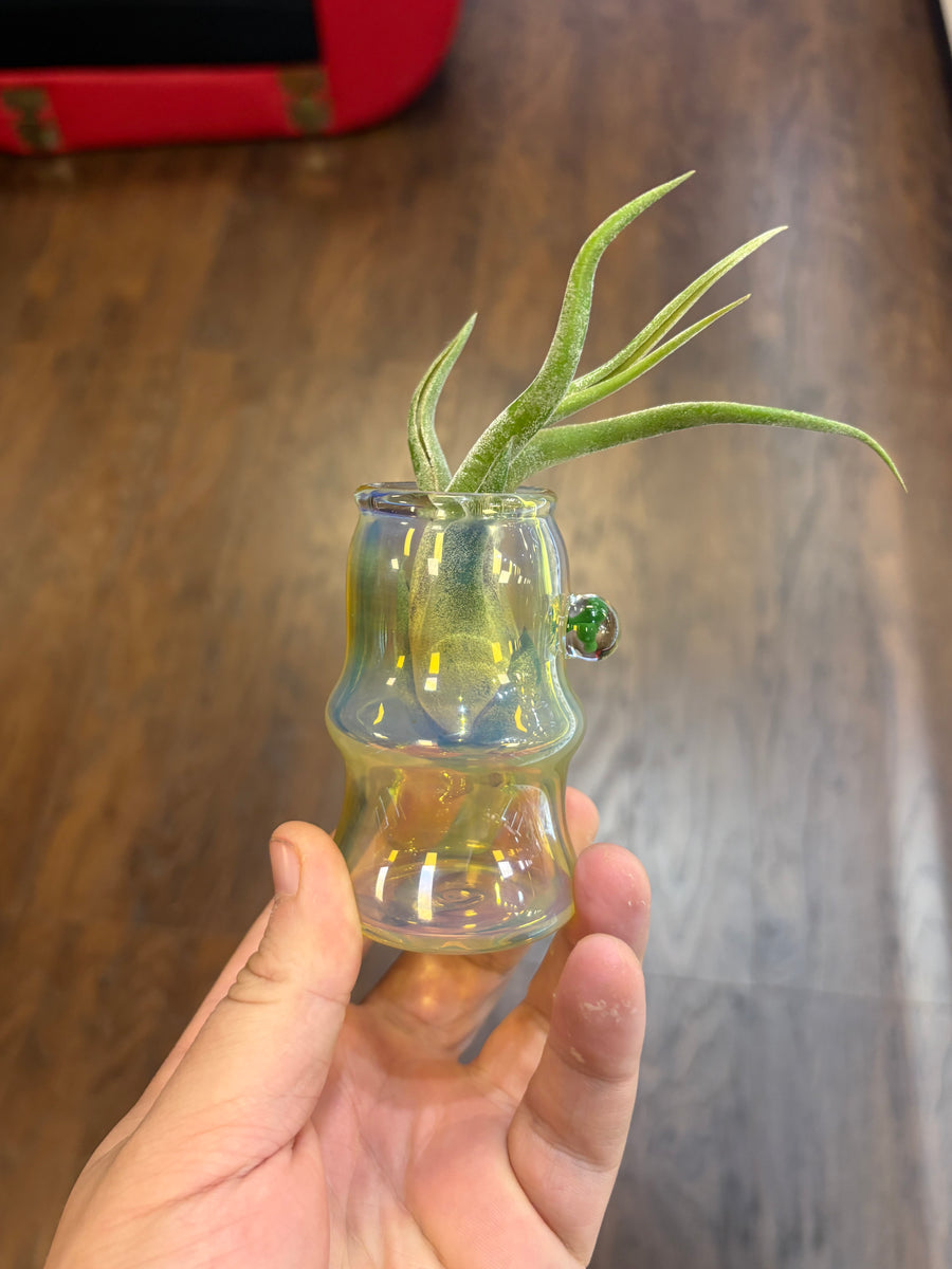 Trinity Glass Jar Auction!