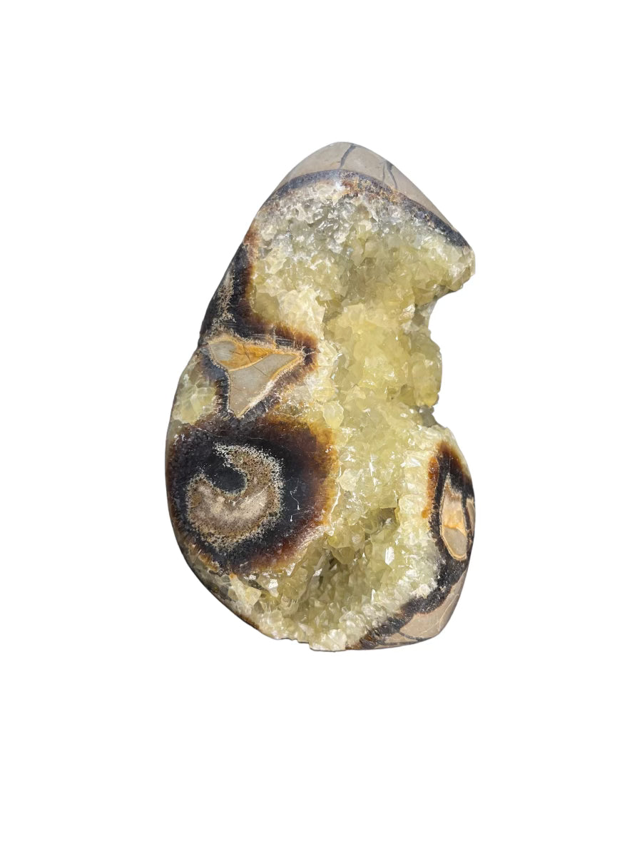 Septarian Stone
