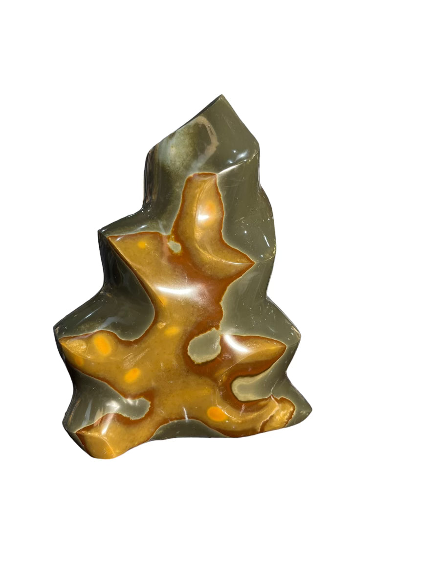 Polychrome Jasper