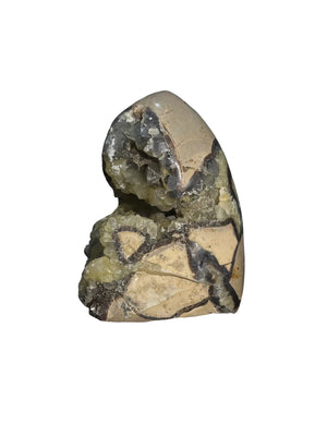 Septarian Stone