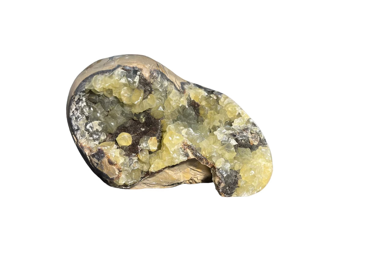 Septarian Stone