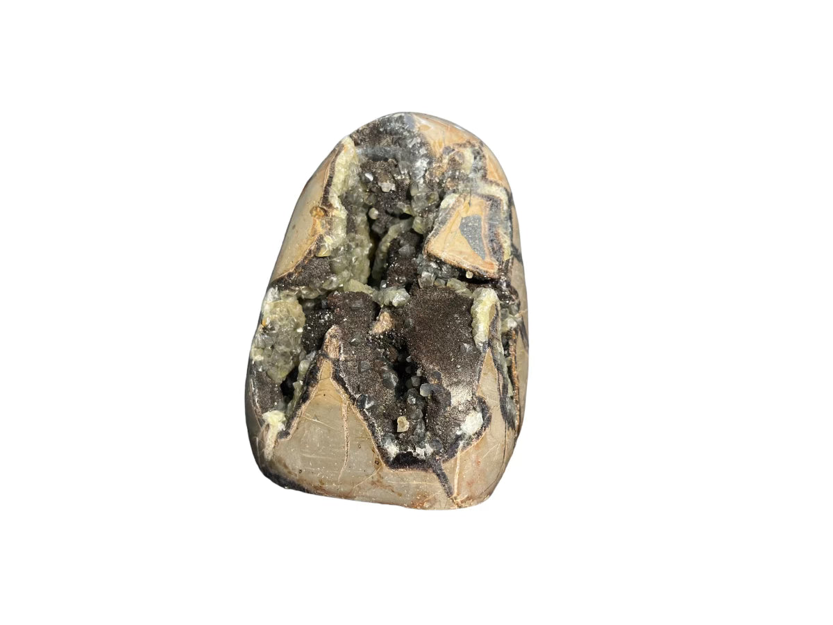 Septarian Stone