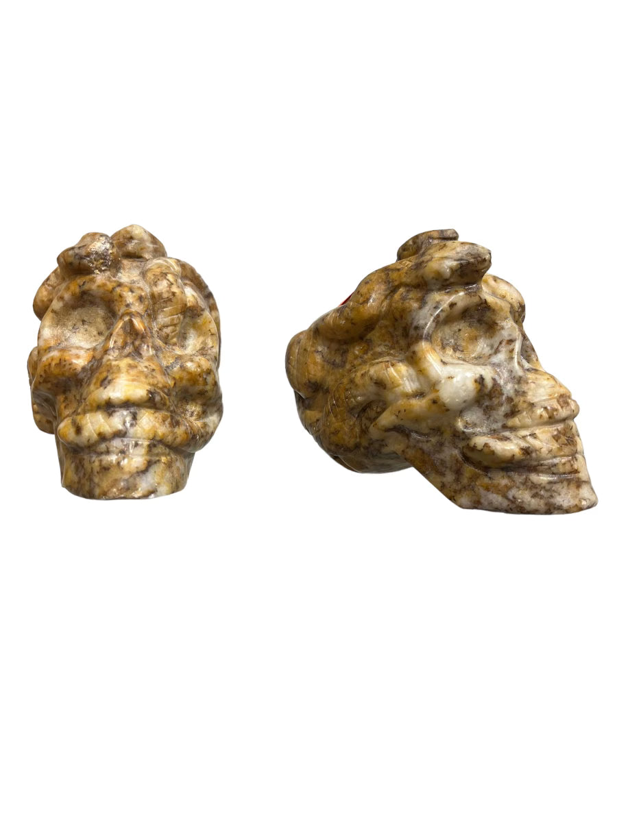 Stone Skull
