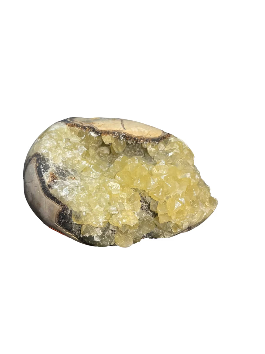 Septarian Stone