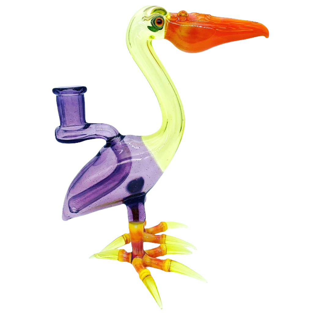 Burtoni Pelican