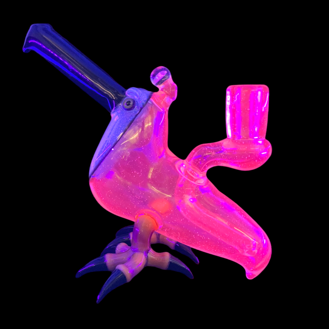 Burtoni UV Toucan