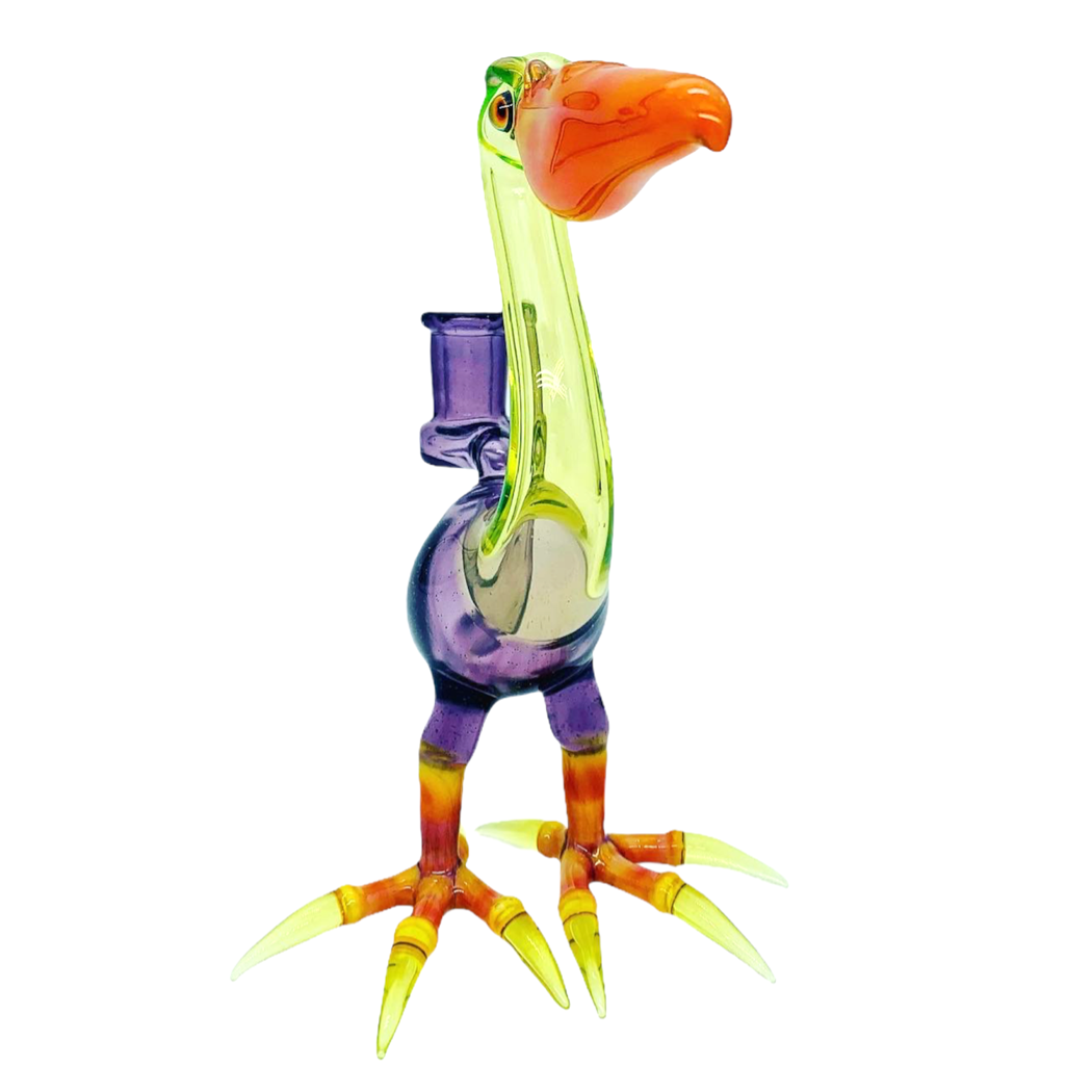 Burtoni Pelican