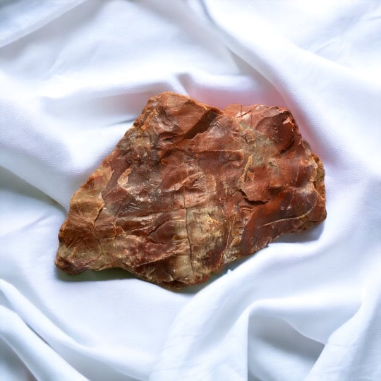 Petrified Wood Crystal