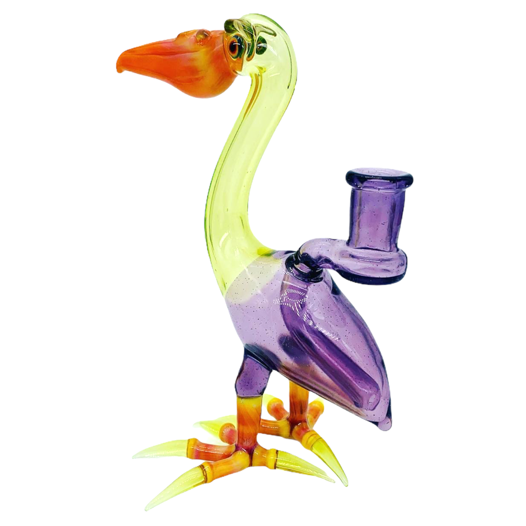 Burtoni Pelican