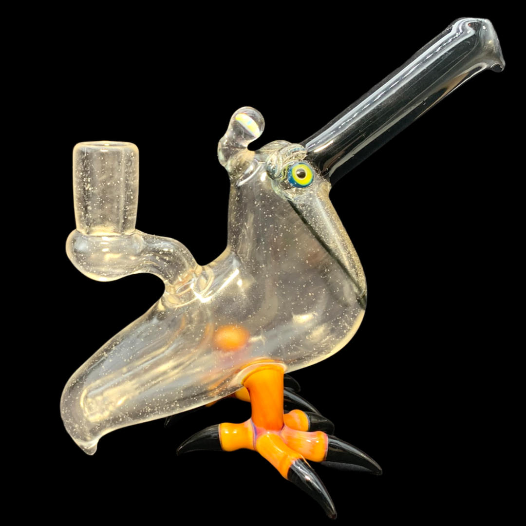 Burtoni UV Toucan